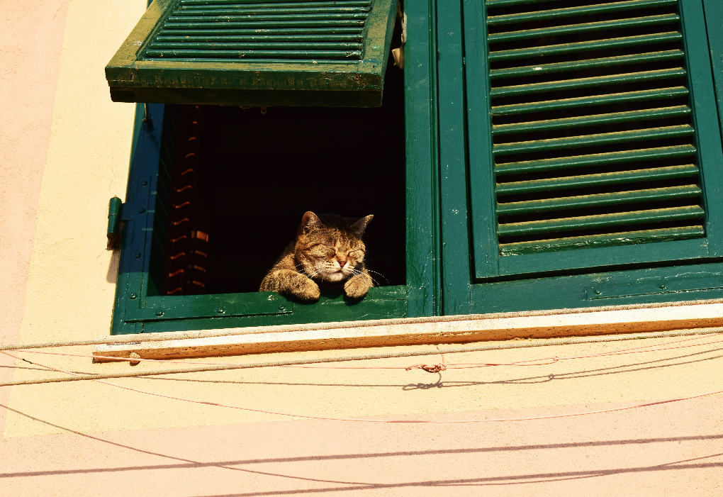 How to Stay Positive if You Are Living Alone During COVID-19 Lockdown